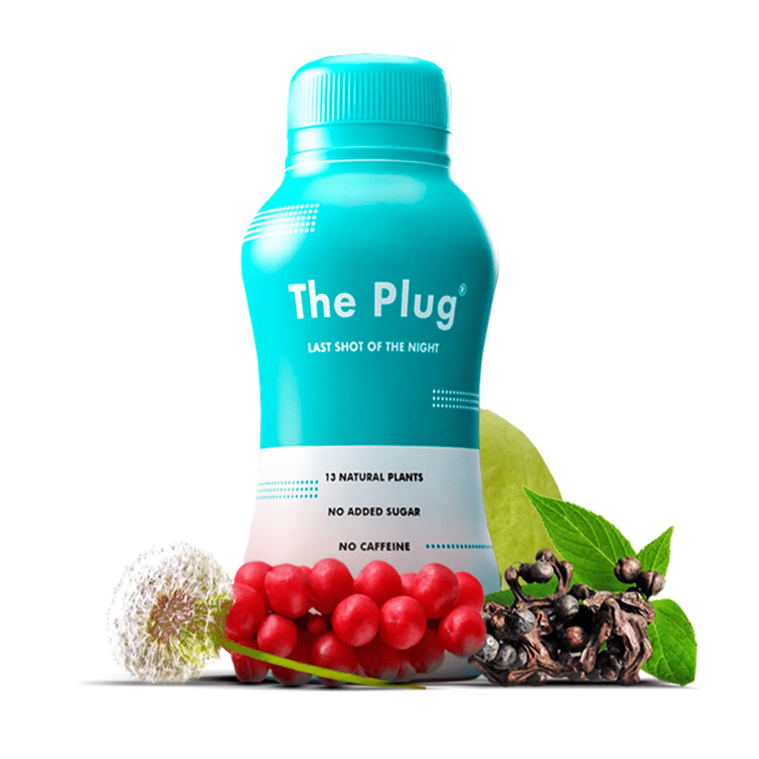 Organic Liver Detox Drink | The Plug Drink - Image 9
