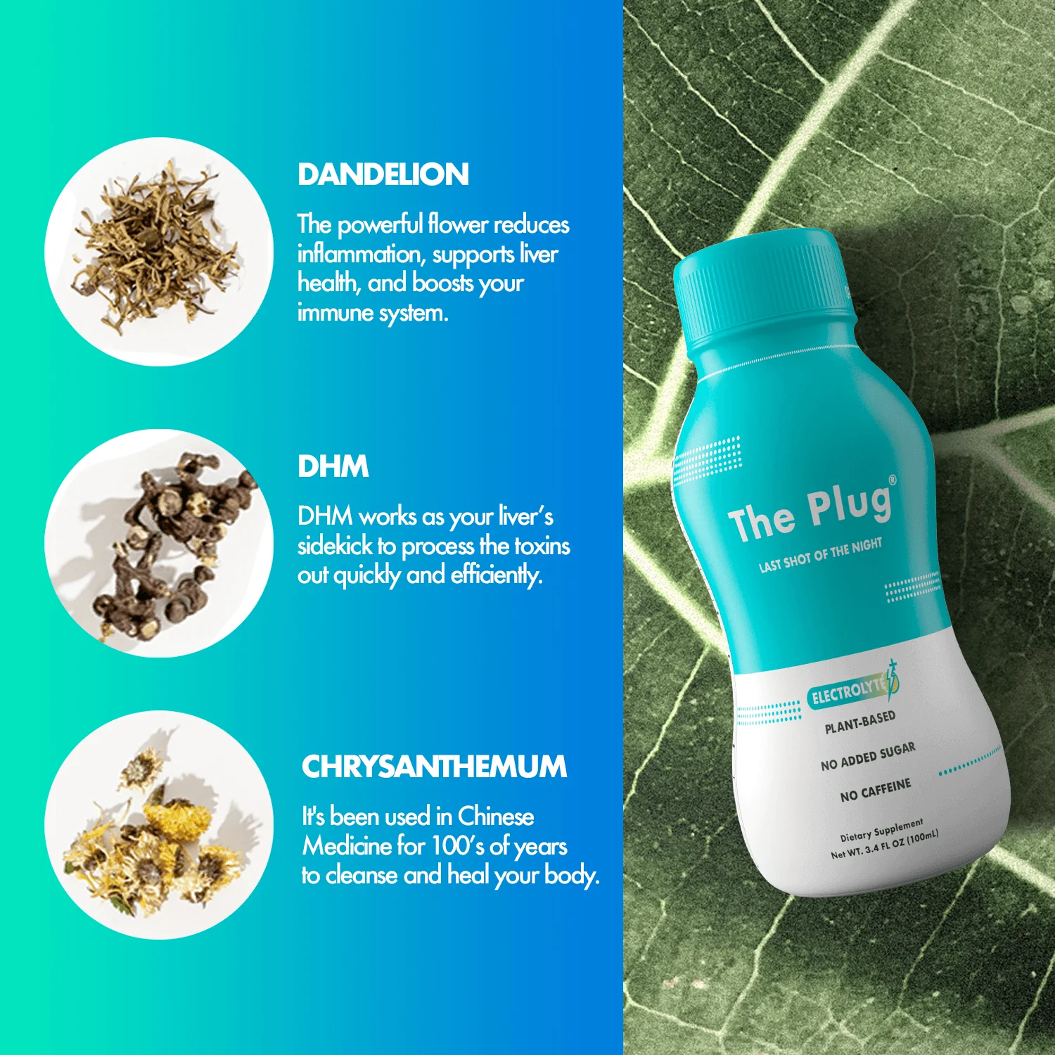 The Plug Drink Plant-based - Image 6
