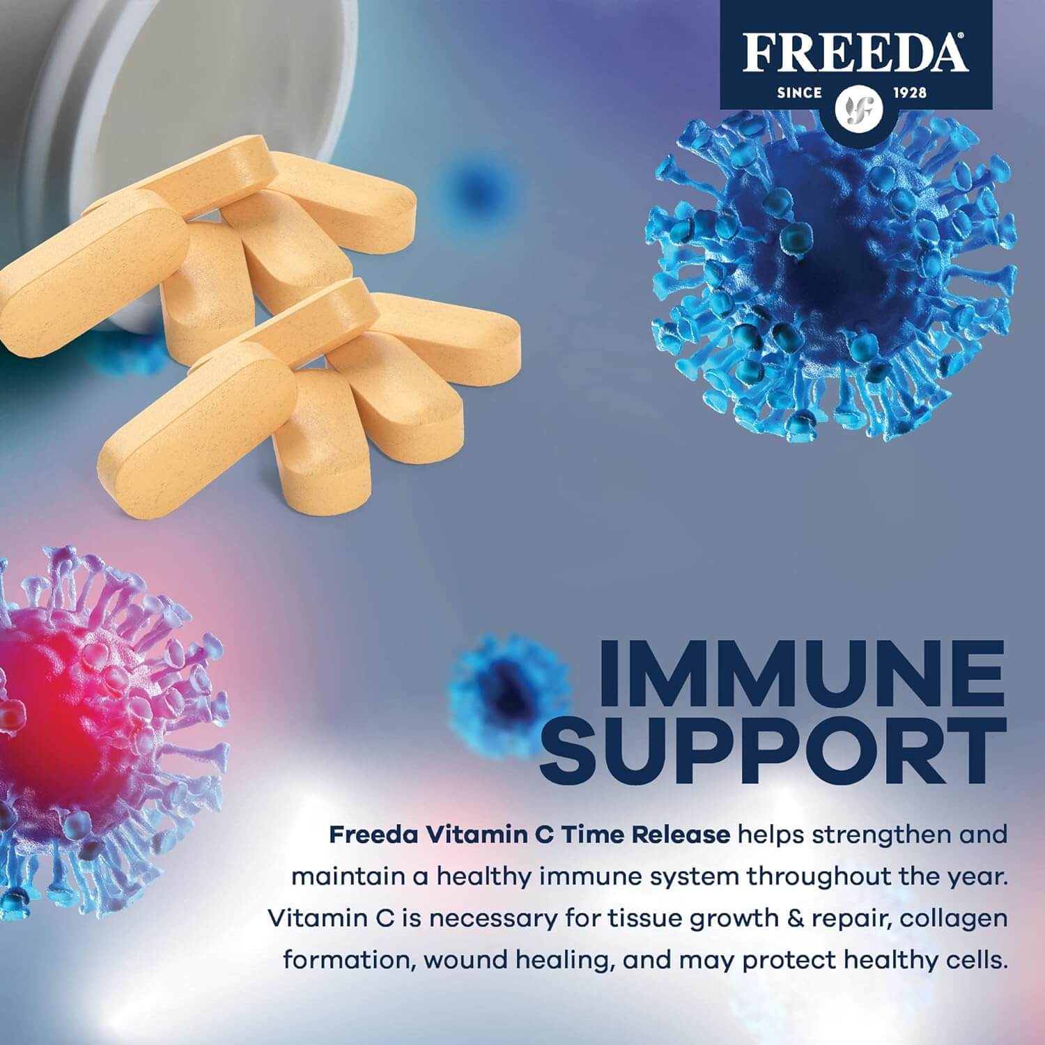 Vitamin C 1000 mg Timed Release - Image 5